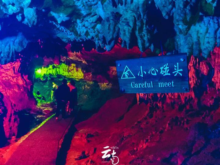 逃离橙园
